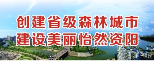 美女日逼的视频创建省级森林城市 建设美丽怡然资阳